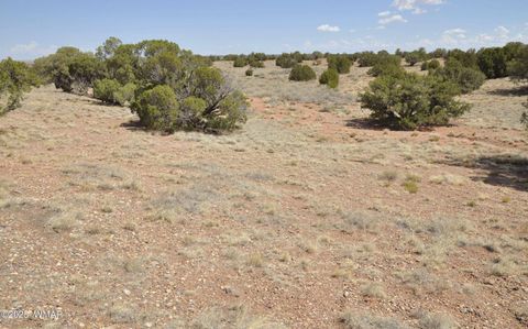 Tiny photo for 138 Jeff Lake Rd, Concho, AZ 85924 (MLS # 257119)