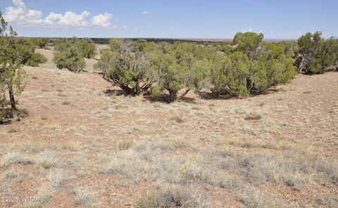 Tiny photo for 138 Jeff Lake Rd, Concho, AZ 85924 (MLS # 257119)