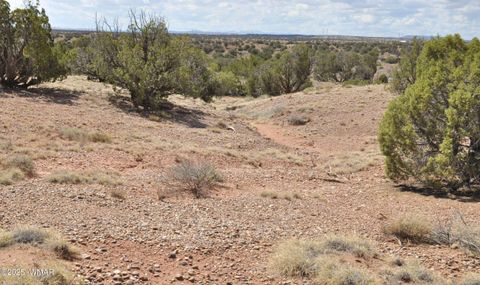 Tiny photo for 138 Jeff Lake Rd, Concho, AZ 85924 (MLS # 257119)
