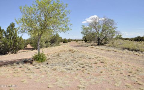 Tiny photo for 138 Jeff Lake Rd, Concho, AZ 85924 (MLS # 257119)