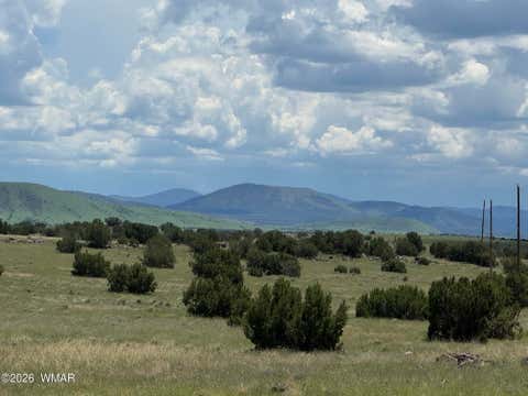 Photo of TBD Eucalyptus Lane, Concho Valley, AZ 85924 (MLS # 262865)