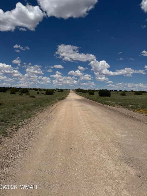Tiny photo for TBD Eucalyptus Lane, Concho Valley, AZ 85924 (MLS # 262865)
