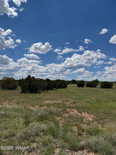Tiny photo for TBD Eucalyptus Lane, Concho Valley, AZ 85924 (MLS # 262865)