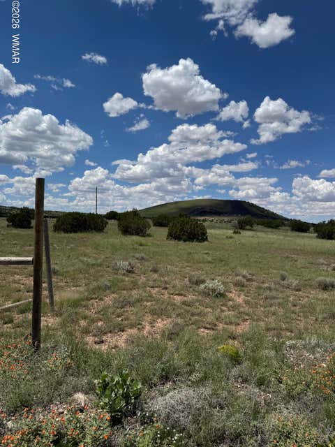 Tiny photo for TBD Eucalyptus Lane, Concho Valley, AZ 85924 (MLS # 262865)
