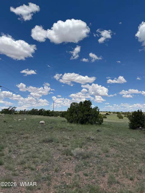 Tiny photo for TBD Eucalyptus Lane, Concho Valley, AZ 85924 (MLS # 262865)