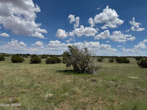 Tiny photo for TBD Eucalyptus Lane, Concho Valley, AZ 85924 (MLS # 262865)