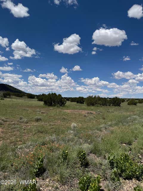 Tiny photo for TBD Eucalyptus Lane, Concho Valley, AZ 85924 (MLS # 262865)