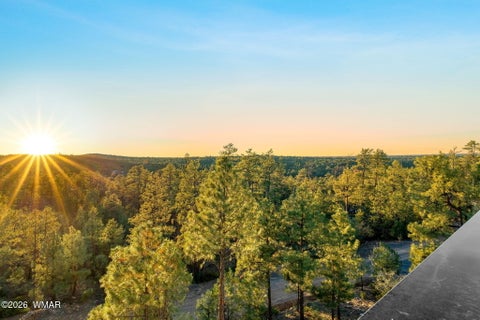 Tiny photo for 2645 Elaine Road, Show Low, AZ 85901 (MLS # 263576)