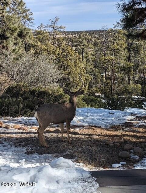 Tiny photo for 2645 Elaine Road, Show Low, AZ 85901 (MLS # 263576)