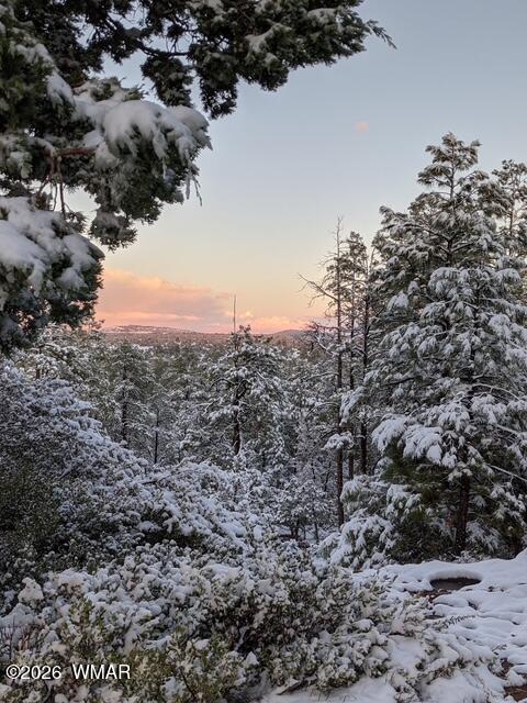 Tiny photo for 2645 Elaine Road, Show Low, AZ 85901 (MLS # 263576)