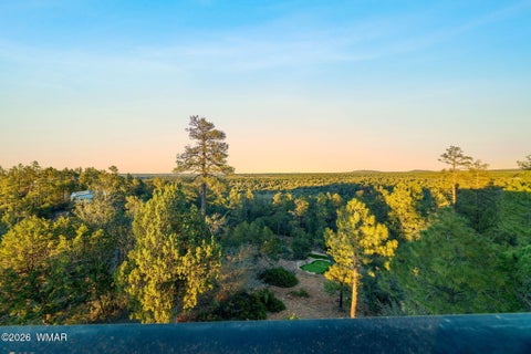 Tiny photo for 2645 Elaine Road, Show Low, AZ 85901 (MLS # 263576)