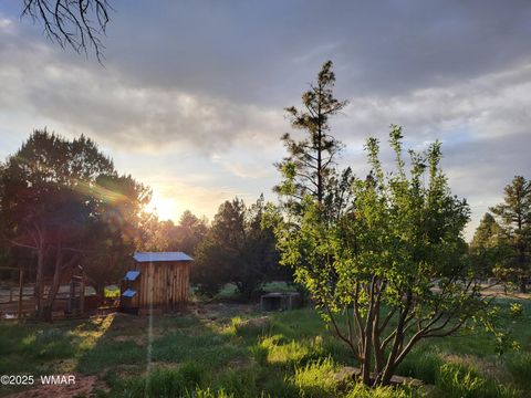 Tiny photo for 6954 Pearce Drive, Show Low, AZ 85901 (MLS # 256579)
