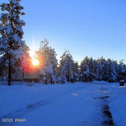 Tiny photo for 6954 Pearce Drive, Show Low, AZ 85901 (MLS # 256579)