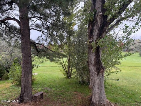 Tiny photo for 1200 N 36Th Drive, Show Low, AZ 85901 (MLS # 263503)