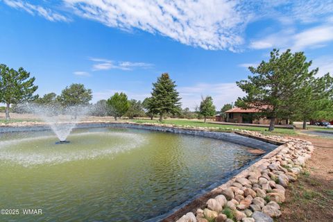 Tiny photo for 487 Co Rd 3144, Vernon, AZ 85940 (MLS # 259198)