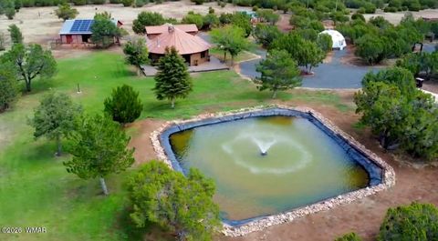 Tiny photo for 487 Co Rd 3144, Vernon, AZ 85940 (MLS # 259198)