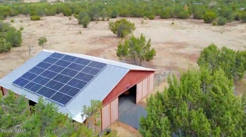 Tiny photo for 487 Co Rd 3144, Vernon, AZ 85940 (MLS # 259198)