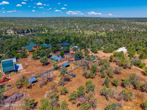 Tiny photo for 3346 Bear Heights Road, Heber, AZ 85928 (MLS # 262820)