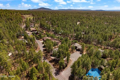 Tiny photo for 6229 Tonto Trail, Pinetop, AZ 85935 (MLS # 260070)