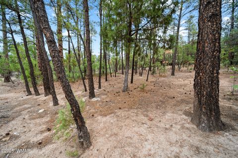 Tiny photo for 4460 W Hawthorn Road, Show Low, AZ 85901 (MLS # 257201)