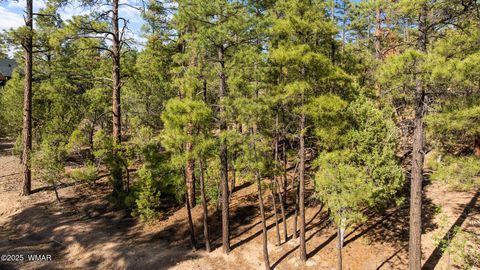 Tiny photo for 4460 W Hawthorn Road, Show Low, AZ 85901 (MLS # 257201)