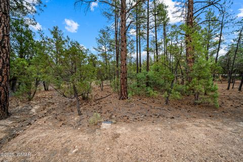 Tiny photo for 4460 W Hawthorn Road, Show Low, AZ 85901 (MLS # 257201)