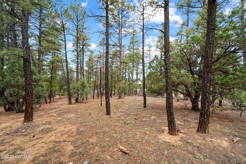 Tiny photo for 4460 W Hawthorn Road, Show Low, AZ 85901 (MLS # 257201)