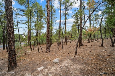 Tiny photo for 4460 W Hawthorn Road, Show Low, AZ 85901 (MLS # 257201)