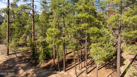 Tiny photo for 4460 W Hawthorn Road, Show Low, AZ 85901 (MLS # 257201)
