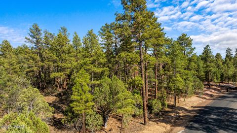 Photo of 4460 W Hawthorn Road, Show Low, AZ 85901 (MLS # 257201)