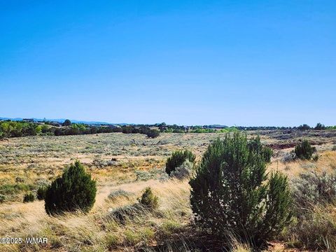 Tiny photo for 1415 W Tumbleweed Trail, Snowflake, AZ 85937 (MLS # 256613)