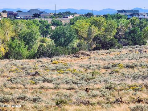 Tiny photo for 1415 W Tumbleweed Trail, Snowflake, AZ 85937 (MLS # 256613)
