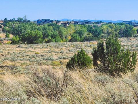 Photo of 1415 W Tumbleweed Trail, Snowflake, AZ 85937 (MLS # 256613)