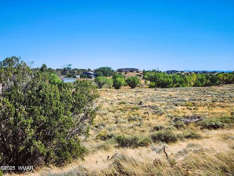 Tiny photo for 1415 W Tumbleweed Trail, Snowflake, AZ 85937 (MLS # 256613)