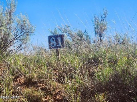 Tiny photo for 1415 W Tumbleweed Trail, Snowflake, AZ 85937 (MLS # 256613)