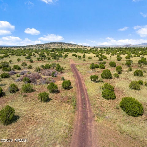 Tiny photo for 87 N3625, Vernon, AZ 85940 (MLS # 261915)