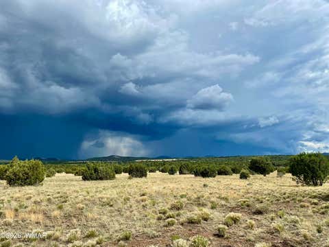 Tiny photo for 87 N3625, Vernon, AZ 85940 (MLS # 261915)