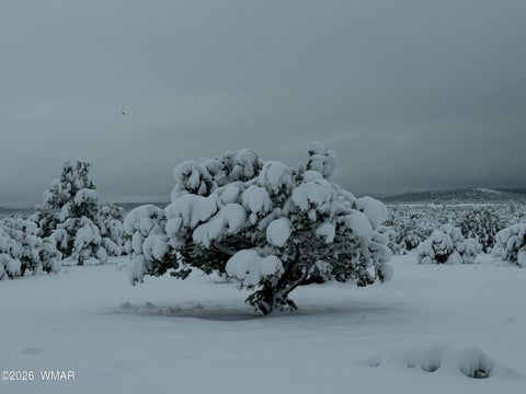 Tiny photo for 87 N3625, Vernon, AZ 85940 (MLS # 261915)