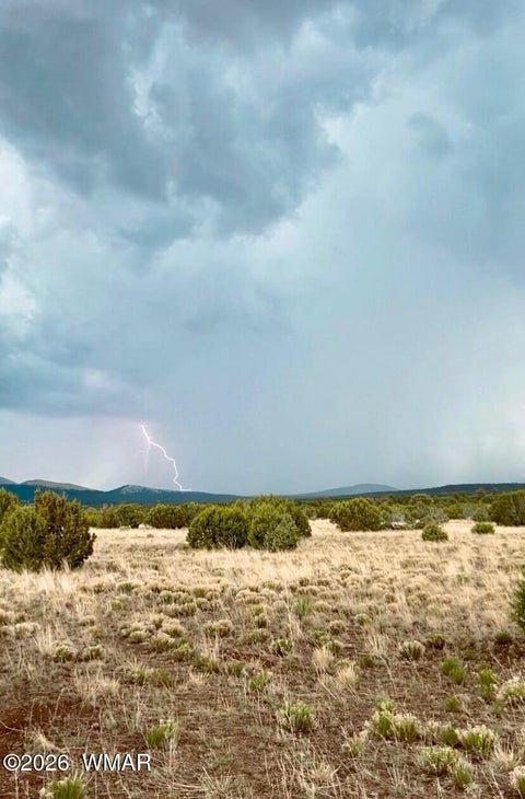 Tiny photo for 87 N3625, Vernon, AZ 85940 (MLS # 261915)