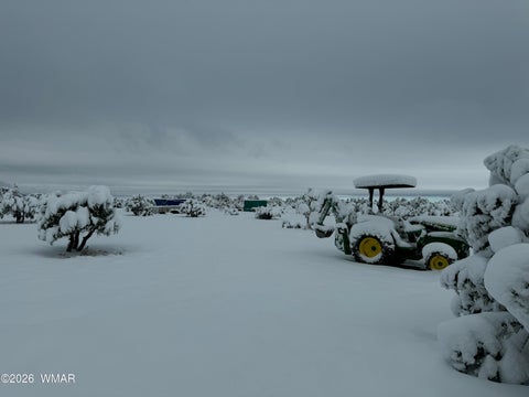 Tiny photo for 87 N3625, Vernon, AZ 85940 (MLS # 261915)