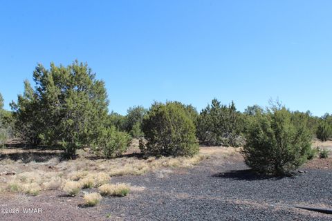 Photo of 28 County Road N3099, Vernon, AZ 85940 (MLS # 256151)
