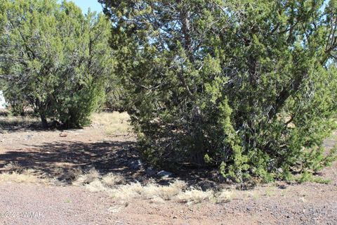 Tiny photo for 28 County Road N3099, Vernon, AZ 85940 (MLS # 256151)
