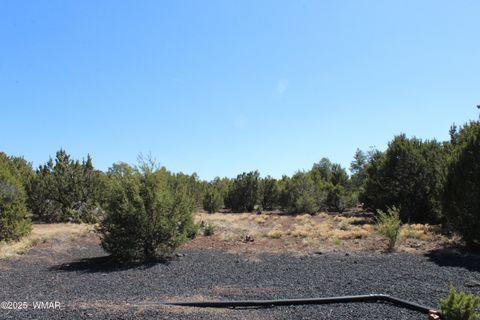 Tiny photo for 28 County Road N3099, Vernon, AZ 85940 (MLS # 256151)