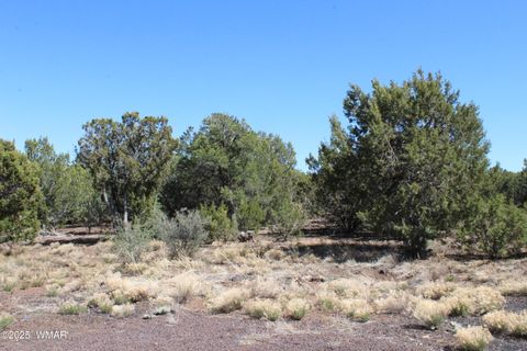 Tiny photo for 28 County Road N3099, Vernon, AZ 85940 (MLS # 256151)