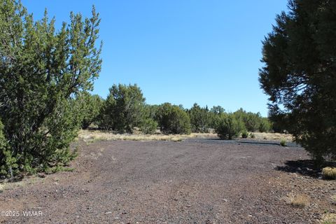 Tiny photo for 28 County Road N3099, Vernon, AZ 85940 (MLS # 256151)