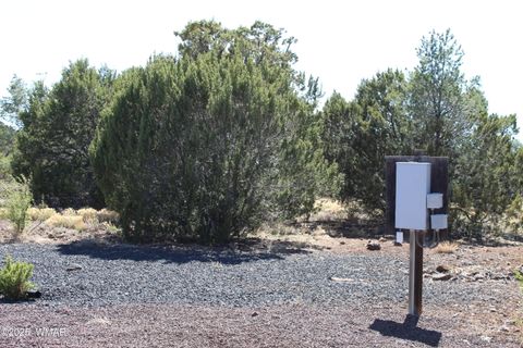 Tiny photo for 28 County Road N3099, Vernon, AZ 85940 (MLS # 256151)
