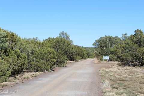 Tiny photo for 28 County Road N3099, Vernon, AZ 85940 (MLS # 256151)