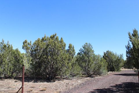 Tiny photo for 28 County Road N3099, Vernon, AZ 85940 (MLS # 256151)