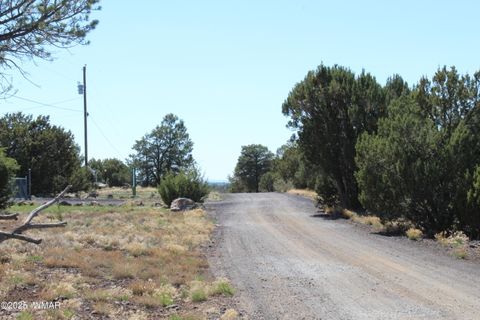 Tiny photo for 28 County Road N3099, Vernon, AZ 85940 (MLS # 256151)