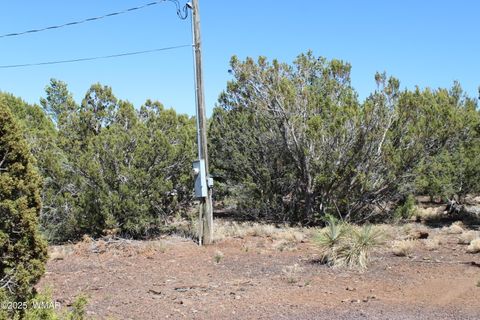 Tiny photo for 28 County Road N3099, Vernon, AZ 85940 (MLS # 256151)